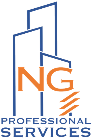 NG Professional Services